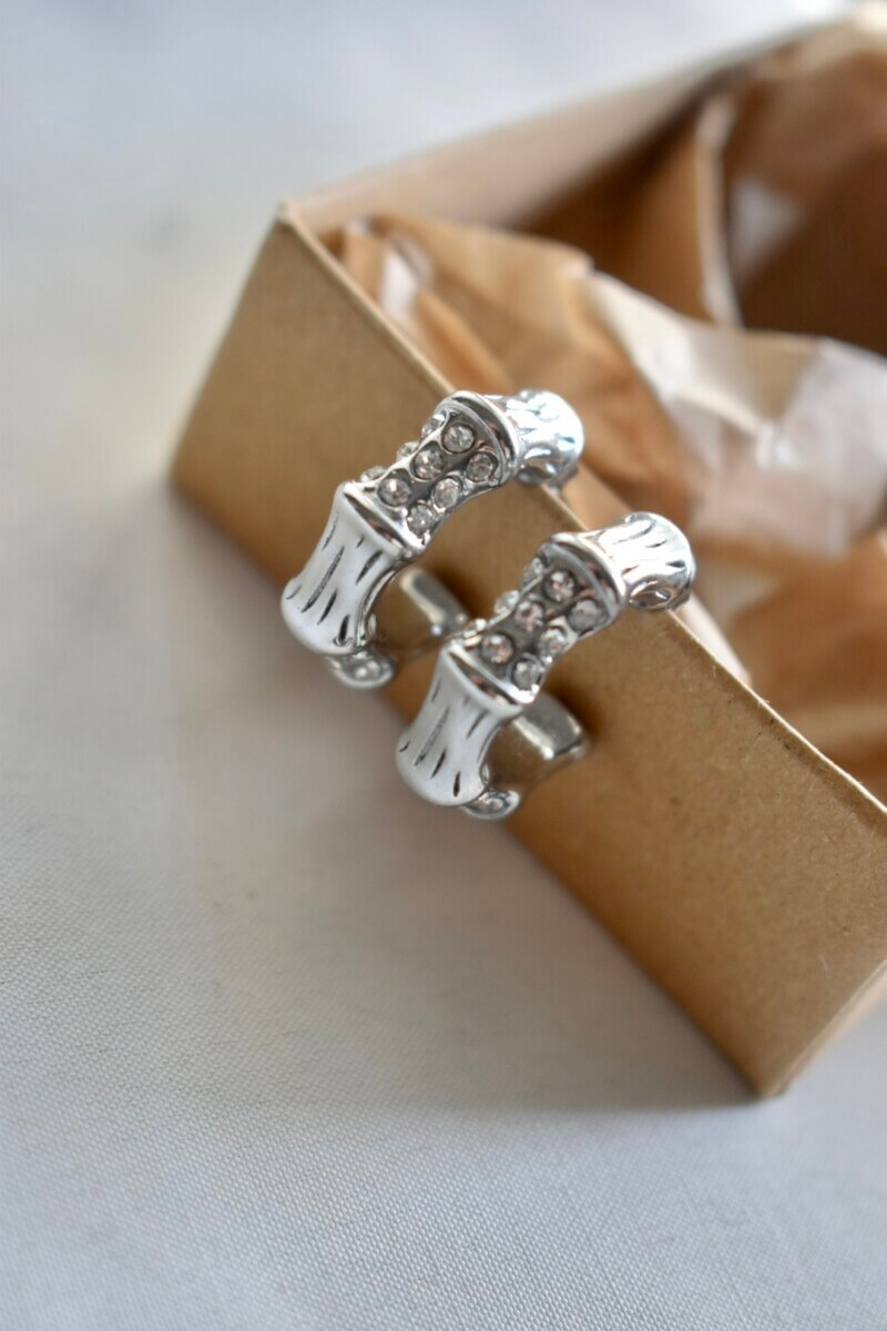 Σκουλαρίκια Sarria silver