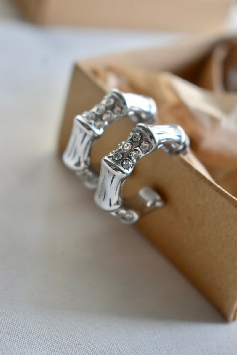 Σκουλαρίκια Sarria silver